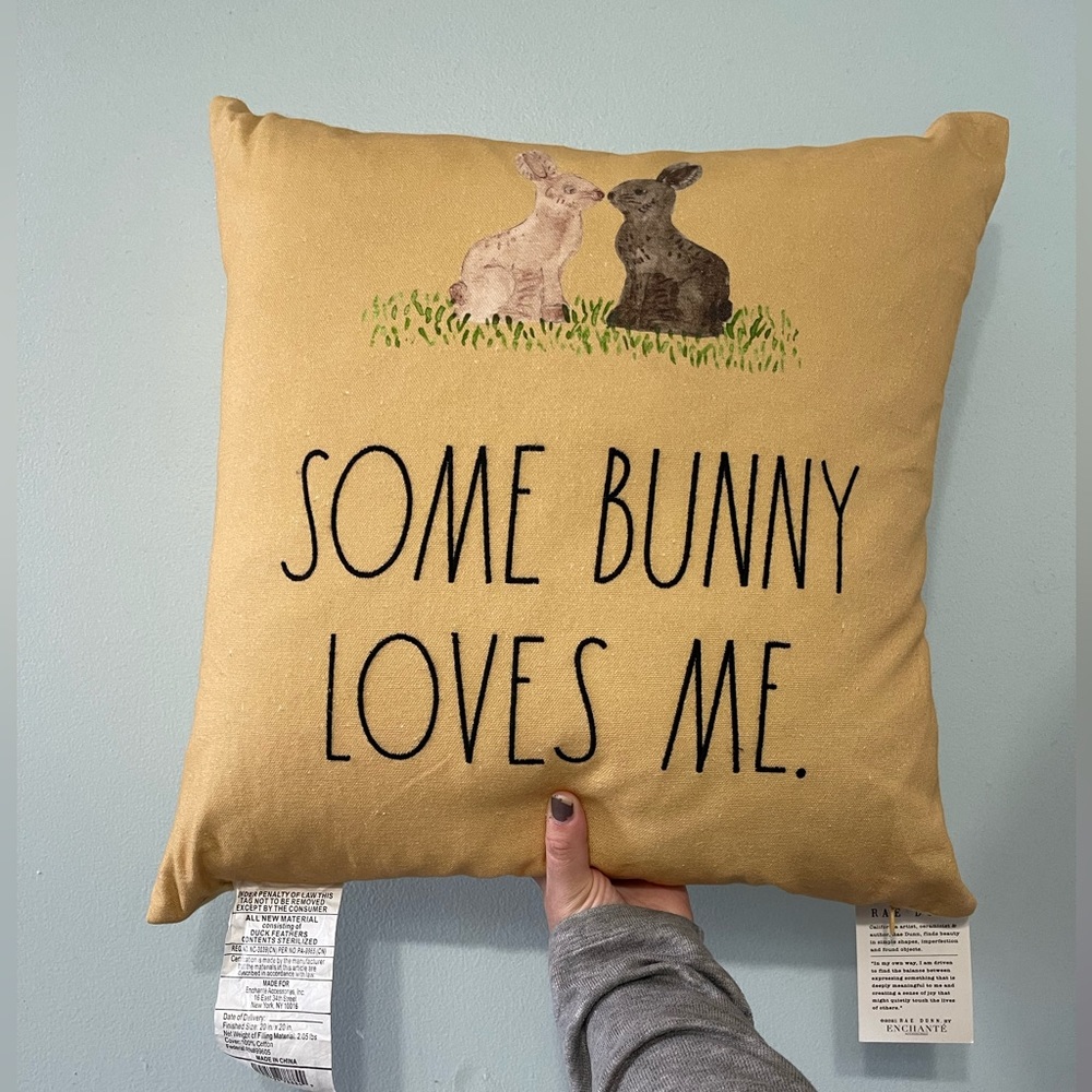 Rae Dunn Spring pillow
